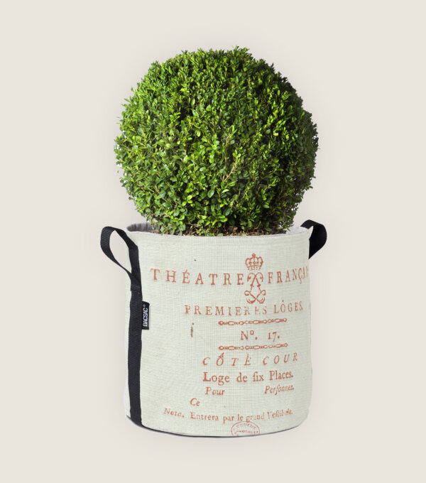 Bac Sac cache pot Comedie des objets comedie francaise cote cour cote jardin theatre jargon vocabulaire expression detournement stefania di petrillo godefroy de virieu